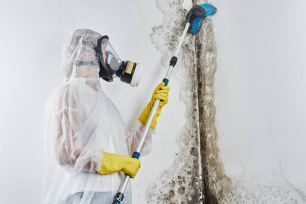 Best Residential Mold Inspection & Testing  in Lwa, CA